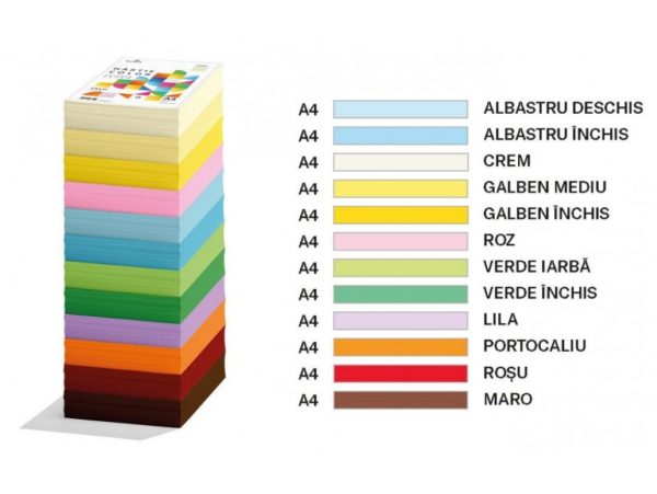 (COPY) (COPY) (COPY) (COPY) (COPY) (COPY) (COPY) (COPY) Custom dimensions 1436x1080 px (7)